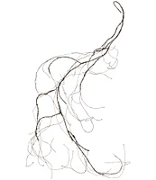 Mark Roberts Dried 5.3 ft. Vine, Set of 6