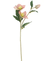 Mark Roberts Helleborusspp Floral, Boxed Set of 12