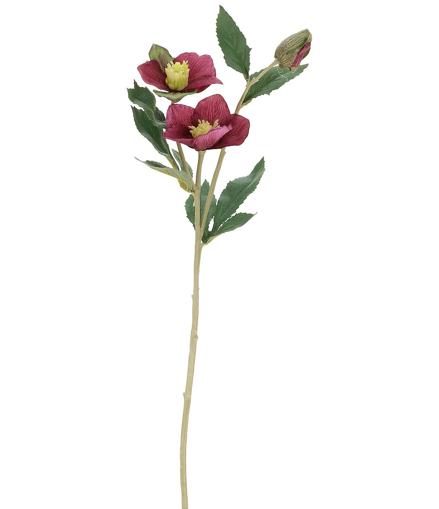 Mark Roberts Helleborusspp Floral, Boxed Set of 12
