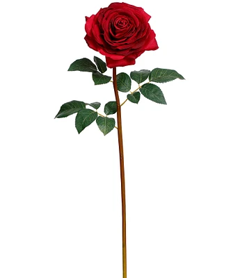 Mark Roberts Mature Rose, Boxed Set of 12