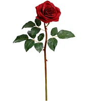 Mark Roberts Prize Rose, Boxed Set of 12