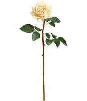 Mark Roberts Prize Rose, Boxed Set of 12