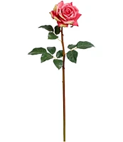Mark Roberts Prize Rose, Boxed Set of 12