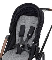 Maxi Cosi Tayla Max 5-in-1 Stroller & Micro Luxe Infant Car Seat Travel System