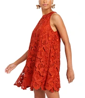 Mestiza New York Laser Cut Lace Round Neck Tie Back A-Line Dress