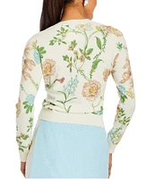Mestiza New York Phoebe Crew Neck Long Sleeve Sweater