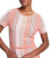 Ming Wang Knit Multi-Stripe Round Neck Short Sleeve Fit-And-Flare Dress