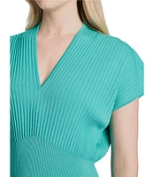 Ming Wang x Tanya Foster Ribbed Knit V-Neck Short Sleeve Fit-And-Flare Dress
