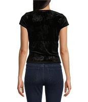 Moa Moa Short Sleeves V-Neck Burnout Velvet Top