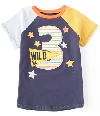 Mud Pie Little Boys 3T Raglan Short-Sleeve 3rd Birthday Boy Colorblock T-Shirt