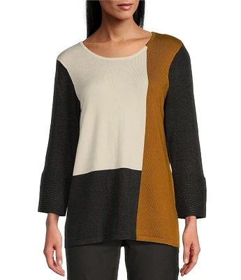 Multiples Color Block Crew Neck Long Sleeve Sweater Knit Top