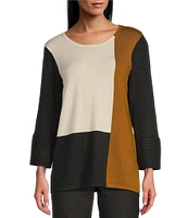 Multiples Color Block Crew Neck Long Sleeve Sweater Knit Top