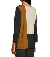 Multiples Color Block Crew Neck Long Sleeve Sweater Knit Top