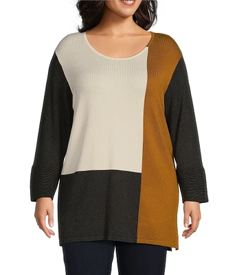 Multiples Plus Size Color Block Crew Neck Long Sleeve Sweater Knit Top