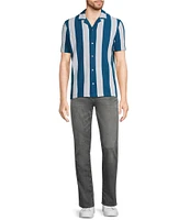 Murano Interdimensional Collection Slim Fit Striped Rib Camp Collar Knit Shirt