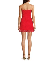 Muse by Marchesa Begonia Lace Square Neck A-Line Dress