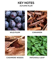 NEST New York Autumn Plum Classic Candle