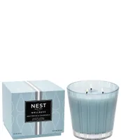 NEST New York Fragrances Driftwood & Chamomile 3-Wick Candle