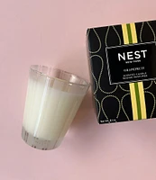 NEST New York Grapefruit 3-Wick Candle