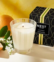 NEST New York Grapefruit Classic Candle