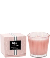 NEST New York Himalayan Salt & Rosewater 3-Wick Candle