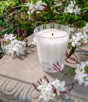 NEST New York Indian Jasmine Classic Candle