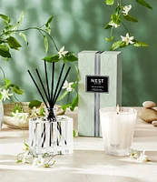 NEST New York Indian Jasmine Reed Diffuser