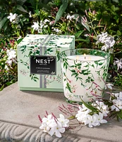 NEST New York Indian Jasmine Specialty 3-Wick Candle