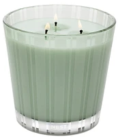 NEST New York Wild Mint & Eucalyptus 3-Wick Candle