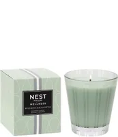 NEST New York Wild Mint & Eucalyptus Classic Candle