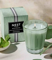 NEST New York Wild Mint & Eucalyptus Classic Candle