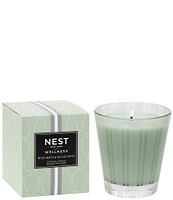 NEST New York Wild Mint & Eucalyptus Classic Candle