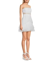 Next Up Illusion Mesh Corset Ruffle Tiered Fit & Flare Dress