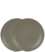 Noble Excellence Aria Glazed Coupe Salad Plates, Set of 2