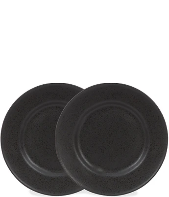 Noble Excellence Astoria Collection Matte Glazed Salad Plates, Set of 2