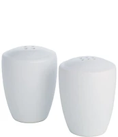 Noritake Colorwave Salt & Pepper Set