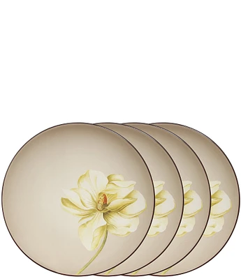 Noritake Colorwave Chocolate Magnolia Accent/Luncheon Floral Plates, Set of 4