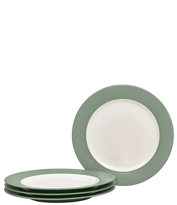 Noritake Colorwave Rim Salad Plates, Set of 4