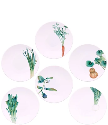 Noritake Kyoka Shunsai Collection Deep Plates, Set of 6