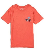 O'Neill Big Boys 8-20 Short-Sleeve Axelrad Van Graphic T-Shirt