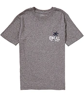 O'Neill Big Boys 8-20 Short-Sleeve Axelrad Van Graphic T-Shirt