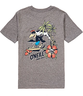 O'Neill Big Boys 8-20 Short-Sleeve Micawber Surf T-Shirt