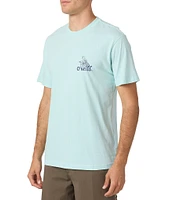 O'Neill Billie Short Sleeve T-Shirt