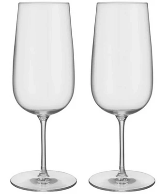 Orrefors Bjorn Frantzen Beer Glass, Set of 2