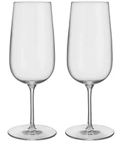 Orrefors Bjorn Frantzen Beer Glass, Set of 2