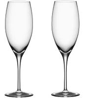 Orrefors Premier Champagne Wine Glass, Set of 2