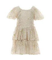 Peek Little Girls 2T-8 Confetti Embroidered Fit & Flare Dress