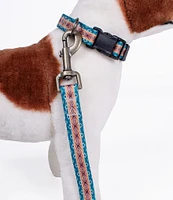 Pendleton Pagosa Spring Adventure Adjustable Dog Collar