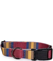 Pendleton Zion National Park Adventure Adjustable Dog Collar