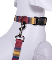 Pendleton Zion National Park Adventure Adjustable Dog Collar